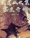 武道从收集宗主开始