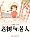 老树与老人