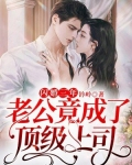 闪婚三年,老公竟成了顶级上司
