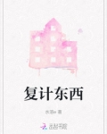 复计东西