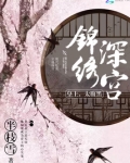 锦绣深宫