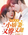 替嫁成婚:小娇妻又撩又甜
