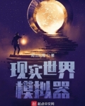 现实世界模拟器