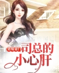 错嫁豪门:司总的小心肝