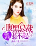 腹黑总裁惹不起