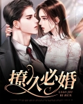 撩久必婚