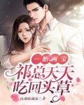 一胎两宝,祁总天天吃回头草