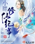 小胖修仙记事