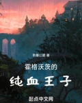 霍格沃茨的纯血王子