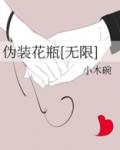 伪装花瓶[无限]