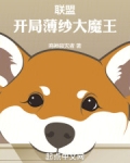 联盟:开局薄纱大魔王
