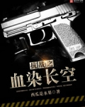 抗战之血染长空