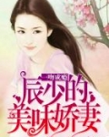 一吻成瘾:辰少的美味娇妻
