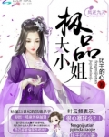 凤逆九天:极品大小姐