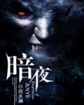 暗夜