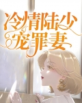 冷情陆少宠罪妻