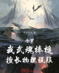 斗罗:我武魂棒槌,擅长物理说服