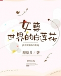 女尊世界的白莲花