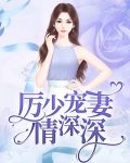 厉少宠妻情深深
