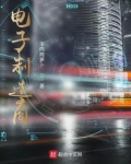 电子制造商