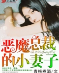恶魔总裁的小妻子
