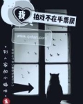 我拍戏不在乎票房