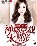 溺爱宠妻:神秘总裁太嚣张