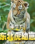 重生为东北虎幼崽