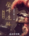 率土之登峰造极
