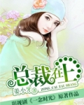 总裁在上(电视剧名一念时光)