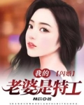 闪婚:我的老婆是特工