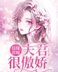 良缘喜嫁:夫君很傲娇
